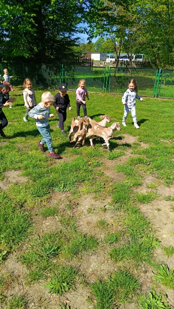 IMG20250428104757
