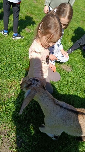 IMG20250428105119