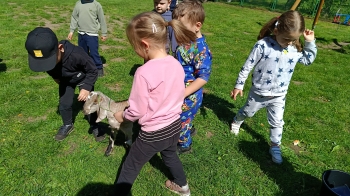 IMG20250428105616
