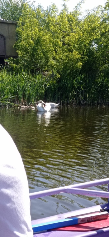 IMG-20250513-WA0058