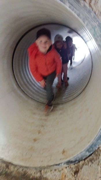 IMG20250522113510