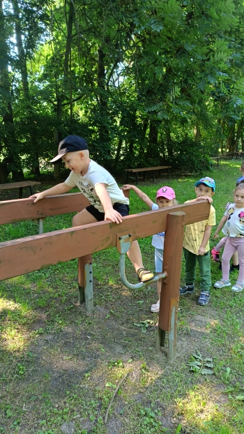 IMG20250613093450