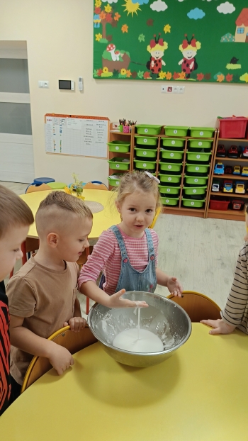 IMG20241113093336