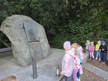 inbound7765104185719653976