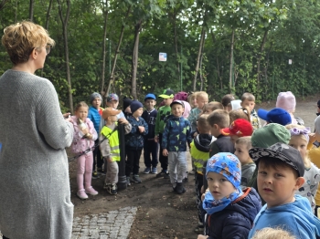 inbound2709308907726342541