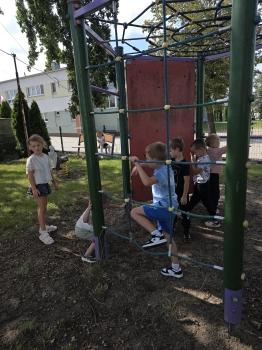 inbound6995255857053893519