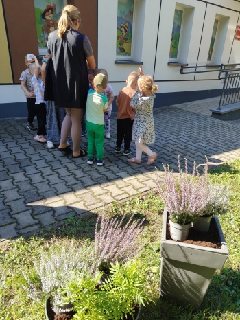 IMG20250912114628