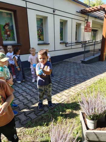 IMG20250912114642