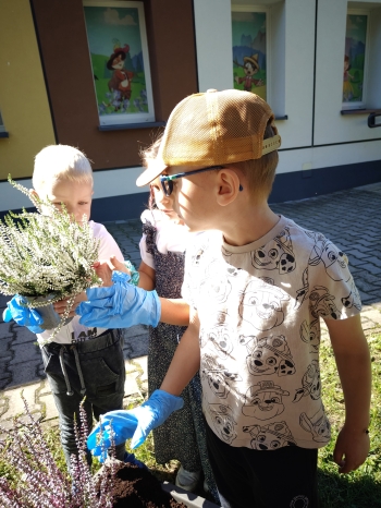 IMG20250912115111