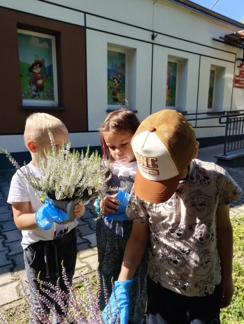 IMG20250912115114