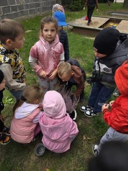 inbound107950706738690527