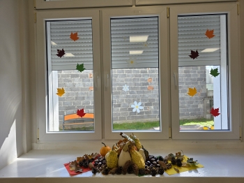 inbound4566774548436472597