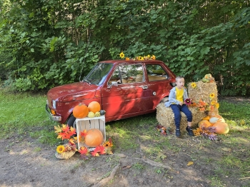 inbound2327692551141988634