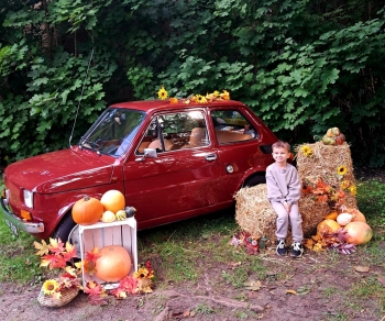 0ff94e87-7db6-42e4-9626-2aa13de33e3f