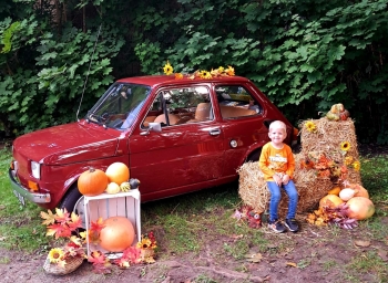 9b8975c2-b097-46e8-9d13-08fe7b258c4d