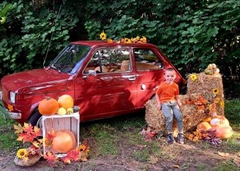 0084f2d7-eeac-41a8-9e03-dd160a3b8901