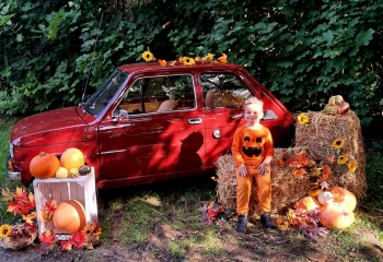 703ddca7-d9da-4d27-8109-5630f325571a