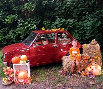 3719c2b3-0491-4bd7-bab1-bd4e87087d05