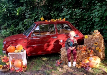 8515cd9d-edd9-4a33-8bc4-8072d501c88a