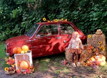 0138783a-bf4d-47e4-b33e-d002083195cd