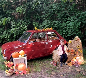 d72ec678-44f7-4abb-9481-10b462420acc