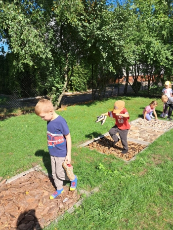 8d0bea0f-41a4-449f-9f14-367254ba8b7c