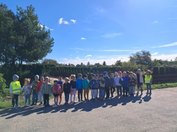 619f4b38-7ce6-412f-82b0-beba12b1a709