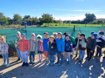 080028be-0e7a-4447-90b7-abf10ad8aa2a