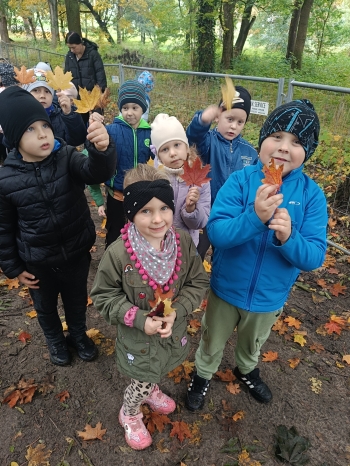 IMG20251015114332_01