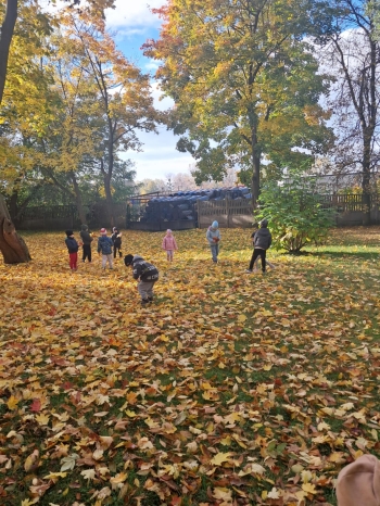 17f75236-5bab-40db-92cd-cade08f6584e