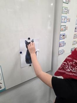 inbound4177973404212234398