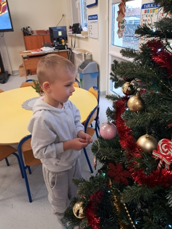 8e8951f1-0093-4215-bc0c-1124f7c6c776