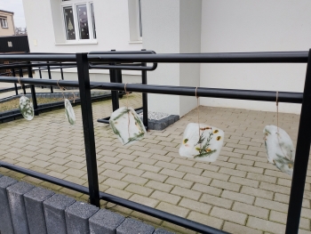 inbound3204554436119909183