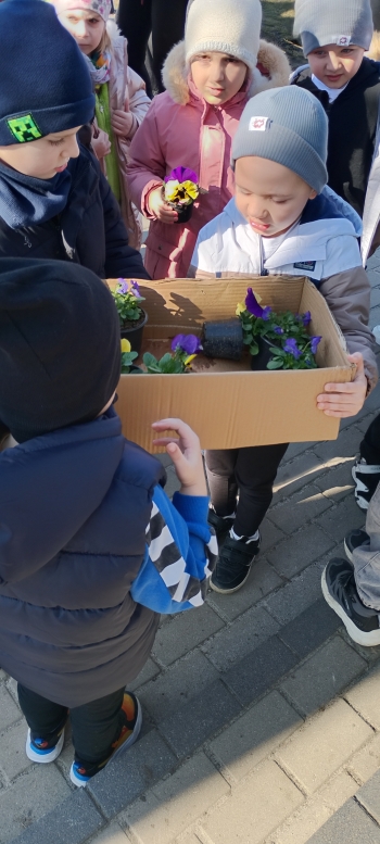 inbound8903314538519045671