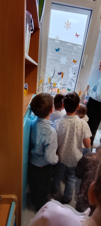 IMG_20260401_092034_hdr