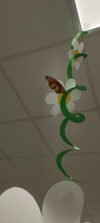 IMG_20260420_093257_hdr