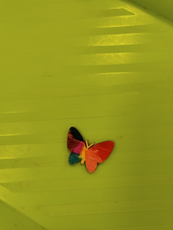 IMG20260420104645