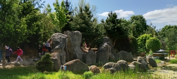 IMG_20260512_123612_hdr