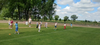 IMG_20260608_103331