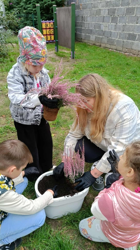 Dbamy o Nasze otoczenie - sadzimy wrzosy