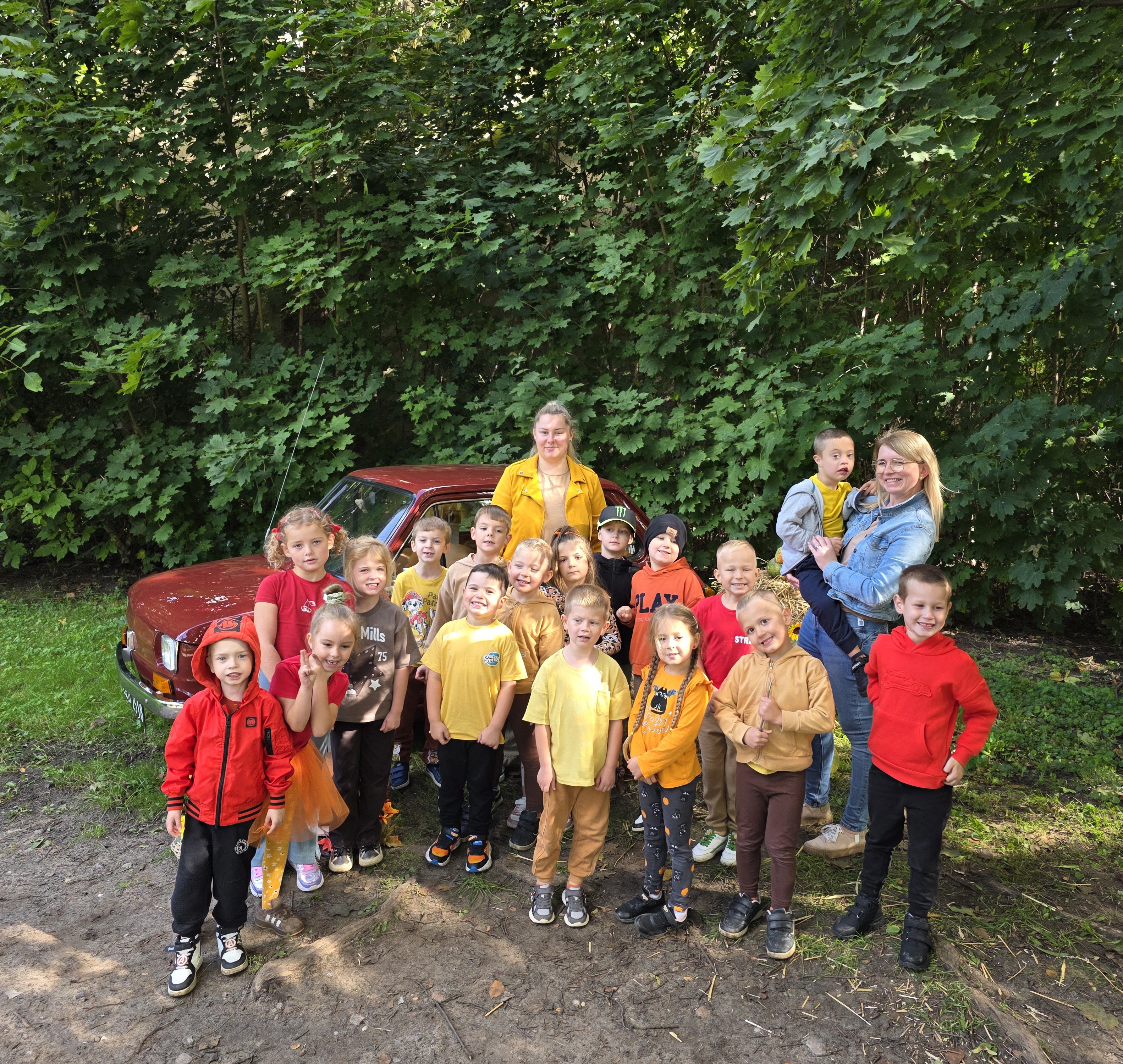 Stokrotki witają jesień