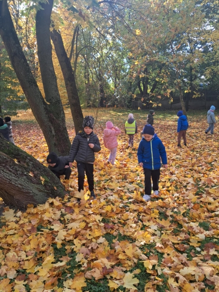 Jesienny spacer i zabawa z liśćmi