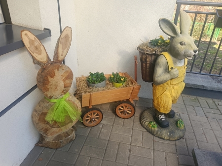 Sadzimy cebulki i kwiatki